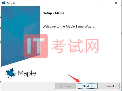 Maple2020破解版免费下载及安装教程（内附crack激活码）4